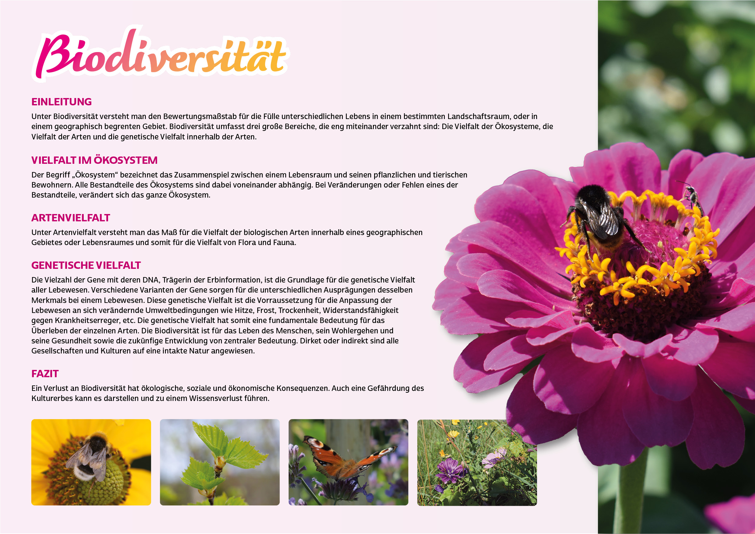 Biodiversitt